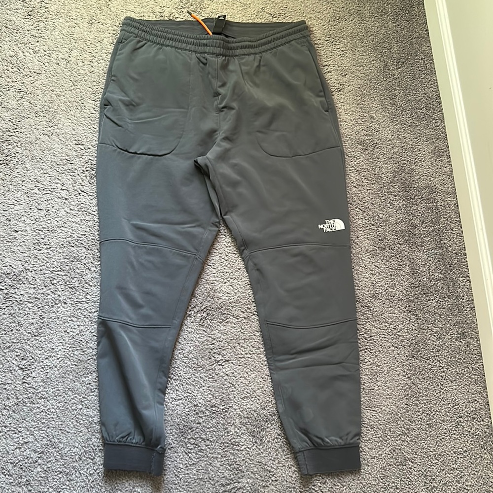 The North Face Fleece Lined Pants
